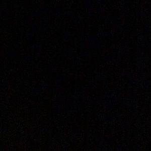 Meet your Posher, Sophia